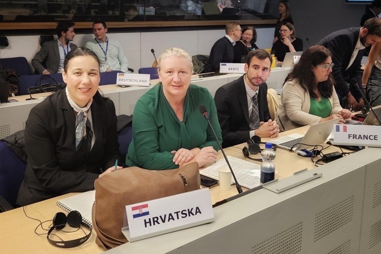 Slika /slike/Odbor%20za%20pra%C4%87enje%20Bruxelles/slika%202..jpg